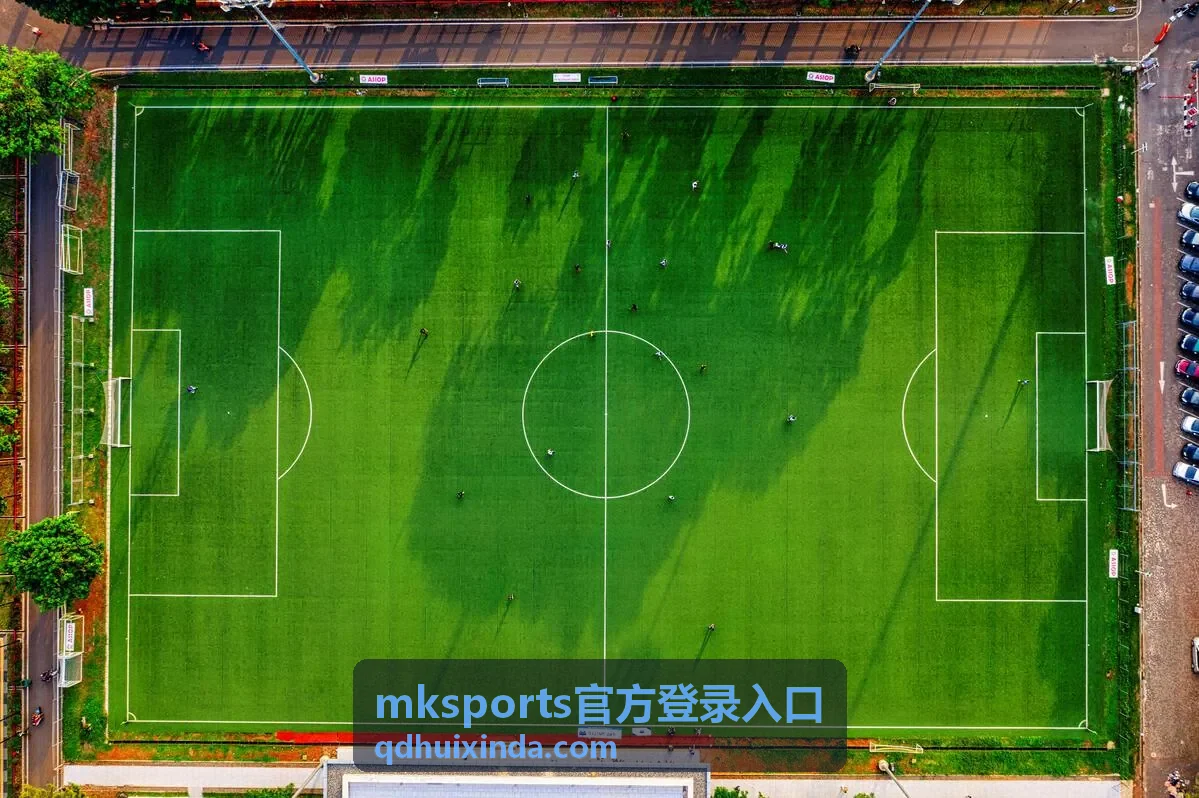 mksports官方登录入口登录设备与登录记录管理示意