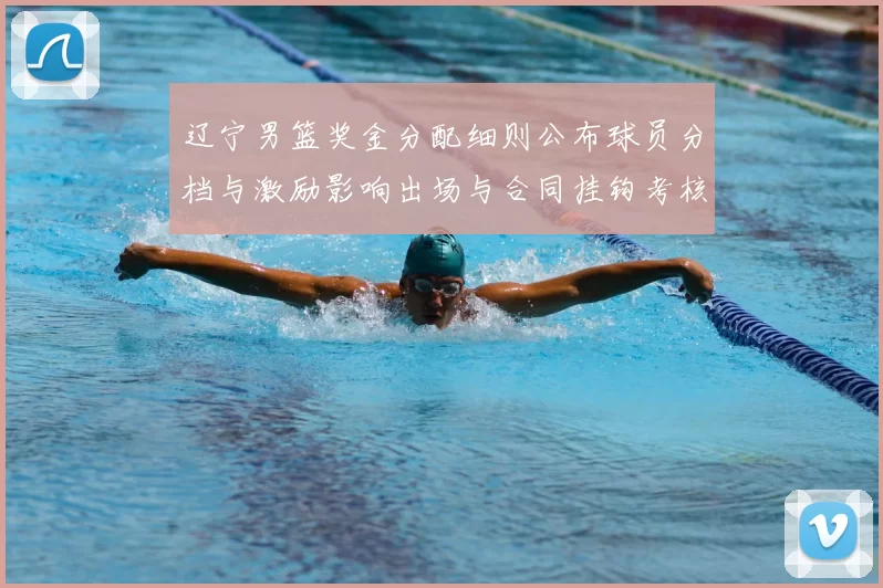 辽宁男篮奖金分配细则公布球员分档与激励影响出场与合同挂钩考核