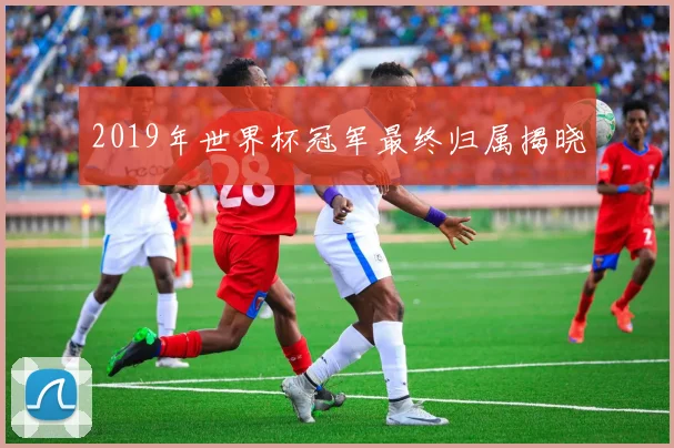 2019年世界杯冠军最终归属揭晓
