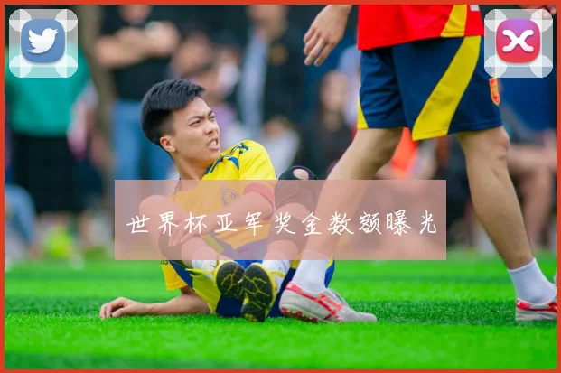 世界杯亚军奖金数额曝光